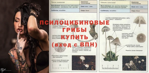 ECSTASY Верхний Тагил