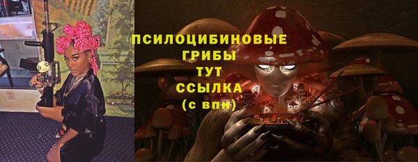 прущие грибы Верхнеуральск