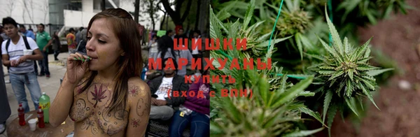 прущие грибы Верхнеуральск